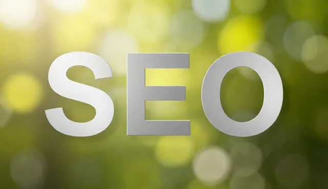 SEO优化的适用条件及检查要点解析